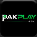 PlayPK Game